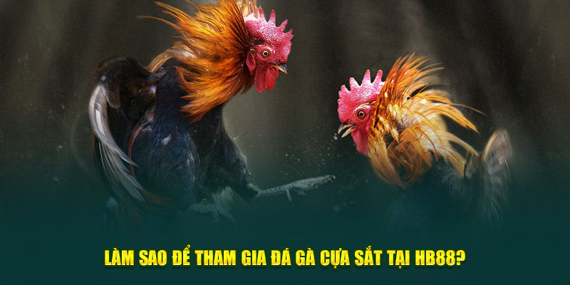 Làm sao để tham gia kê đấu tại HB88?